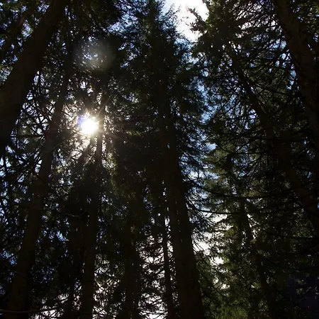 Casa Del Diavolo Bernau im Schwarzwald